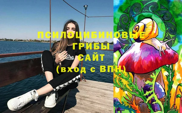 прущий лед Алексеевка