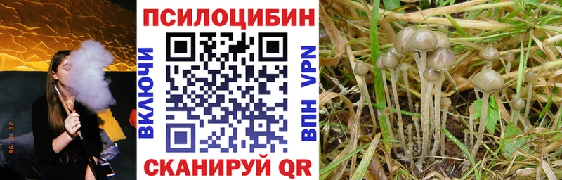 Галлюциногенные грибы GOLDEN TEACHER  ОМГ ОМГ   Нижнеудинск 